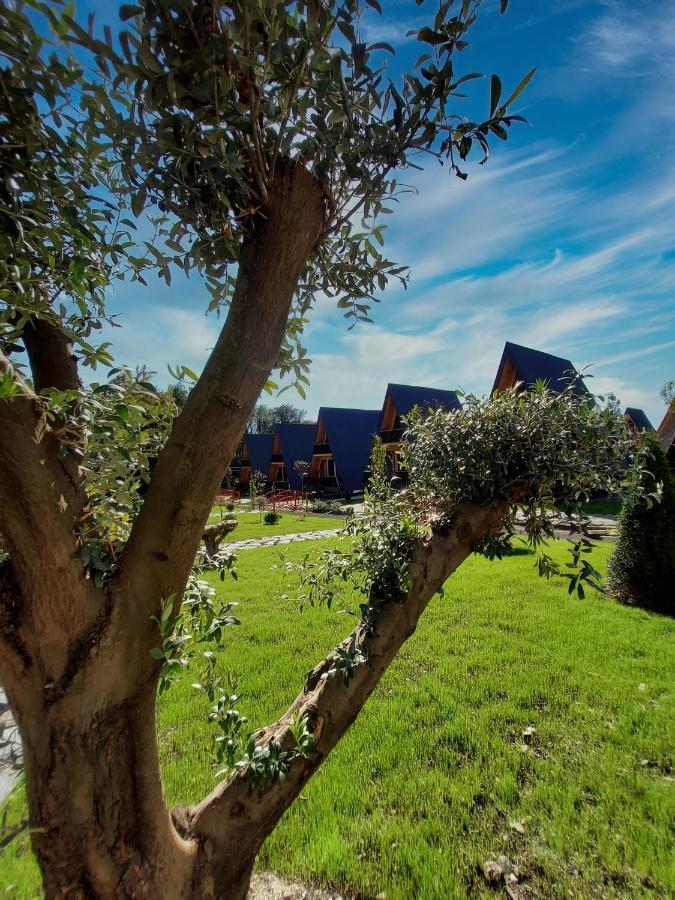 Reserve Resort Lagodekhi Zewnętrze zdjęcie